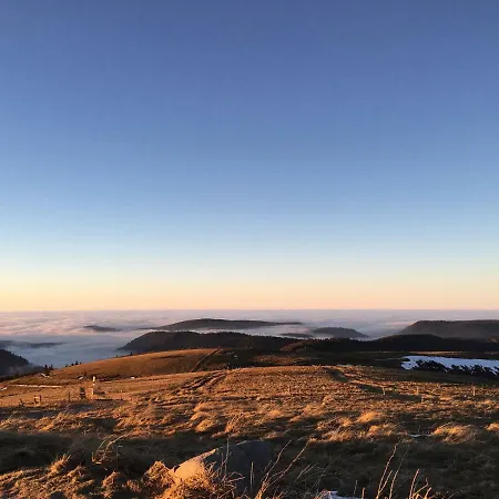 Les Loges Du - Avec Terrasse Daire Gérardmer
