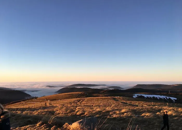 Les Loges Du - Avec Terrasse Appartement Gérardmer