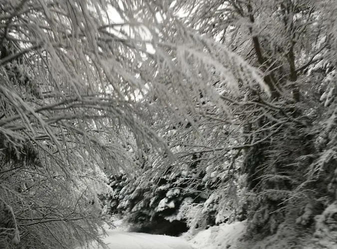 Apartment Les Loges Du - Avec Terrasse Gerardmer